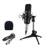 Renton ST100 - XLR microfono da studio con shock mount
