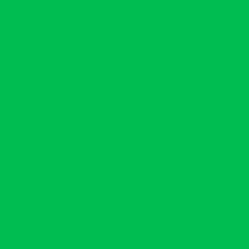 Filtro colore 124 dark green 61x50cm